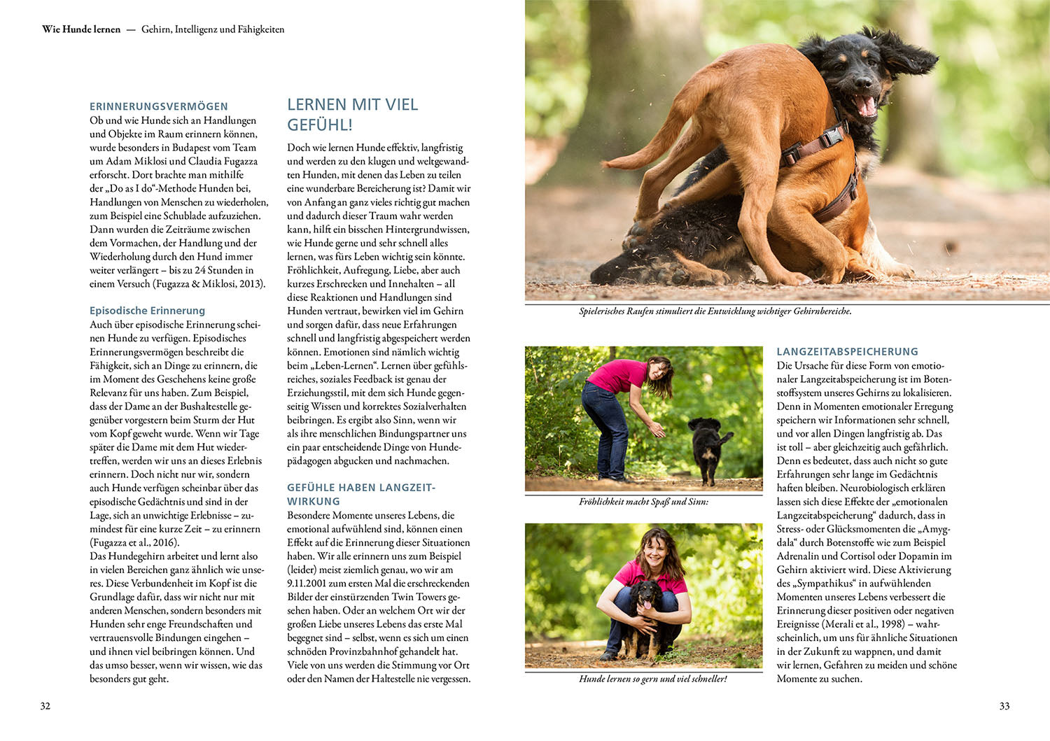 kate-kitchenham-die-10-kompetenzen-f-r-hunde-buch-ratgeber image 4