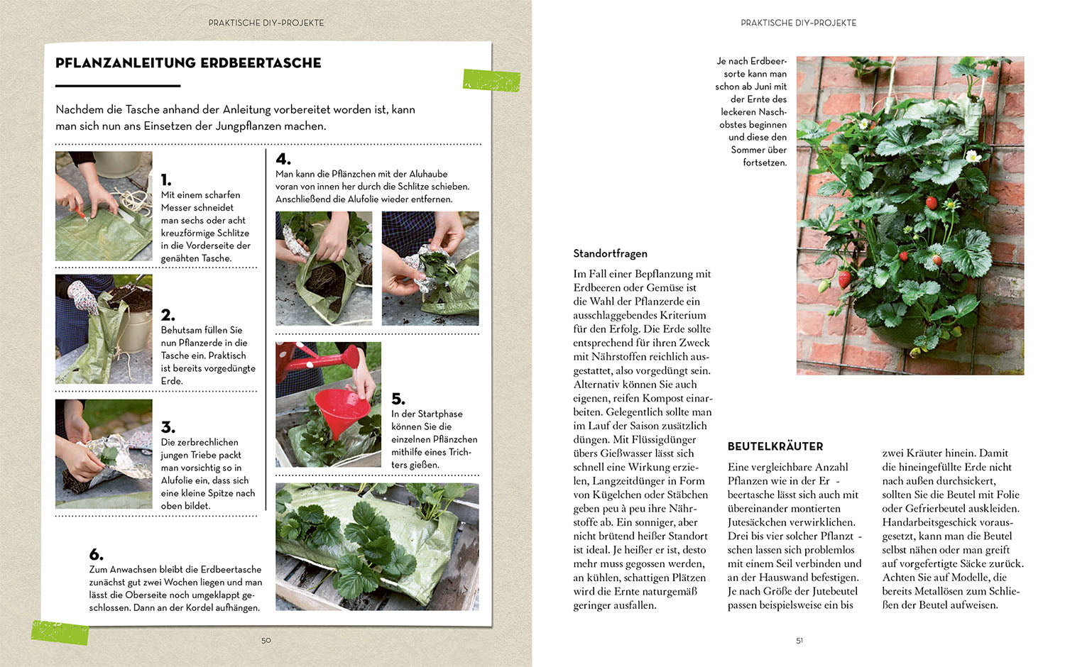 vertikal-g-rtnern-ratgeber-f-r-balkon-und-garten image 4