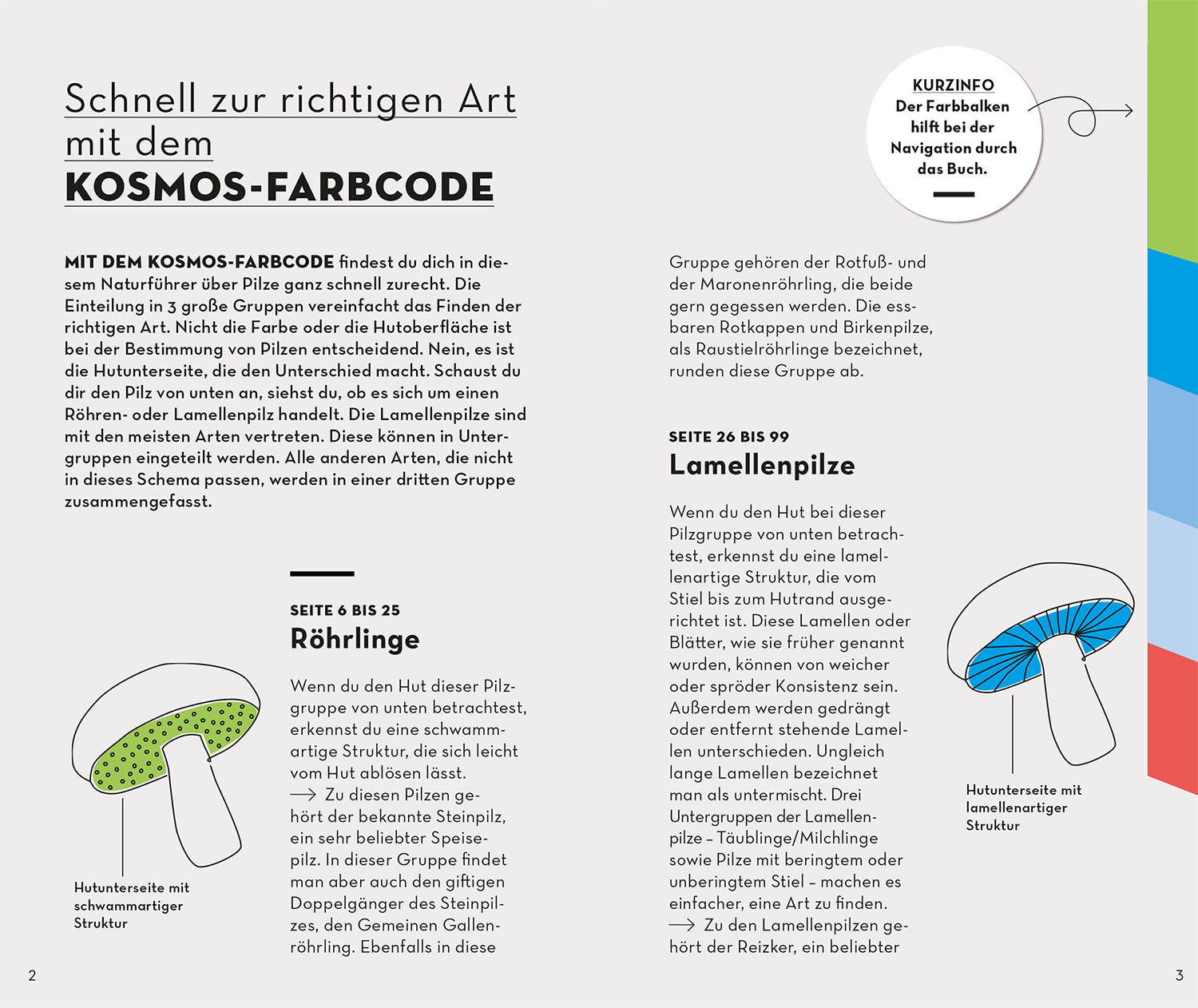 kosmos-basic-pilze-naturf-hrer-100-heimische-arten image 3