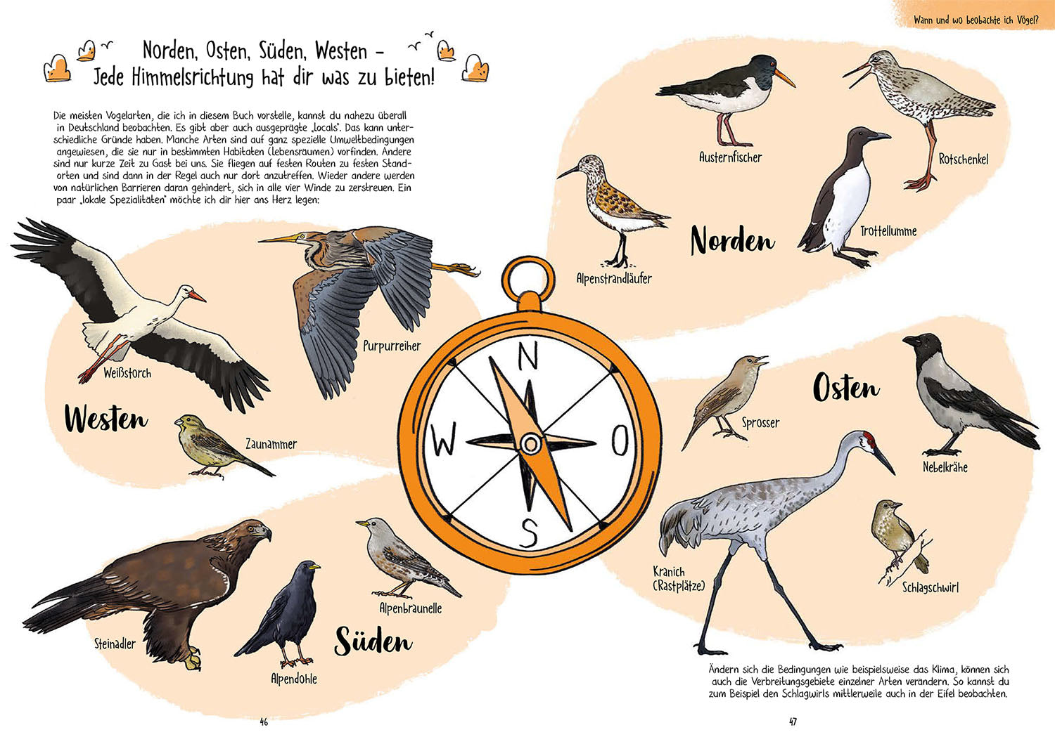 kosmos-birding-f-r-ahnungslose-ratgeber-v-gel-beobachten image 4