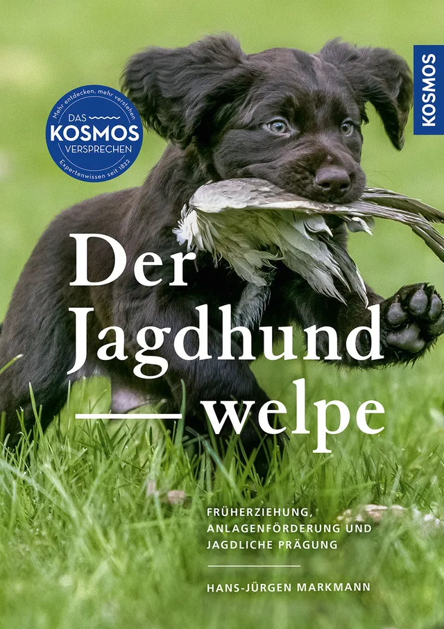kosmos-der-jagdhundwelpe-buch-fr-herziehung-jagd image 1