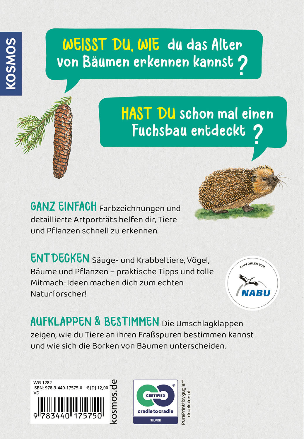 kosmos-was-lebt-im-wald-kindernaturf-hrer-tiere-pflanzen image 2