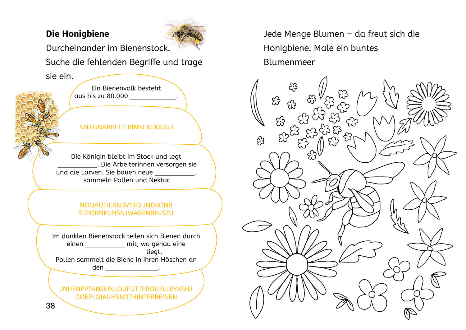 kosmos-b-cherhelden-lesen-lernen-naturr-tsel-insekten-2-klasse image 6