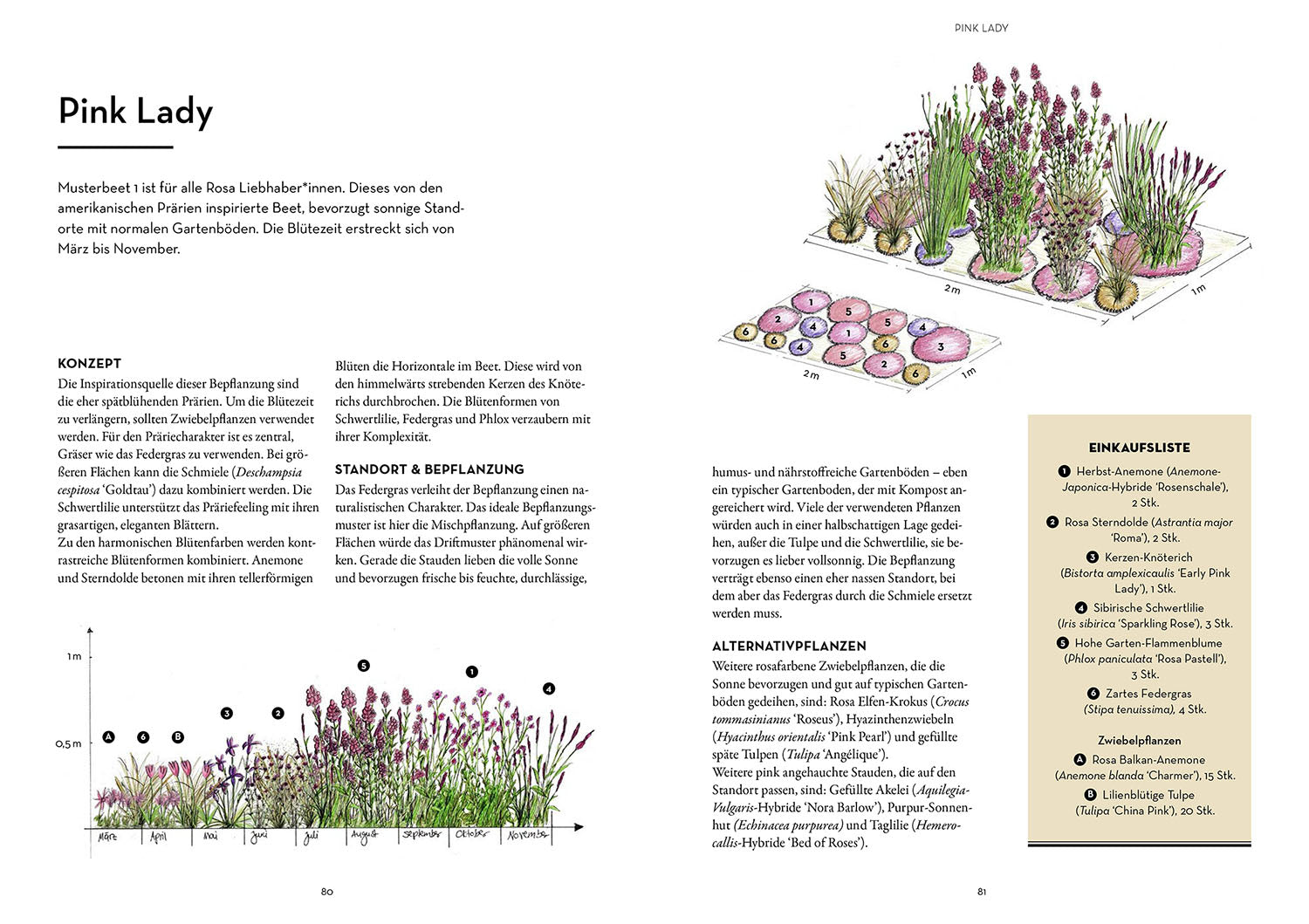 kosmos-blumenbeete-ziergarten-ratgeber-musterbeete-buch image 6