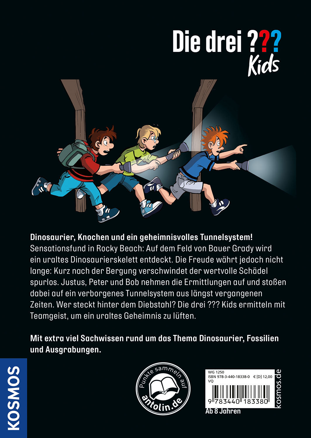 die-drei-kids-das-dino-geheimnis-dinosaurier-buch image 2