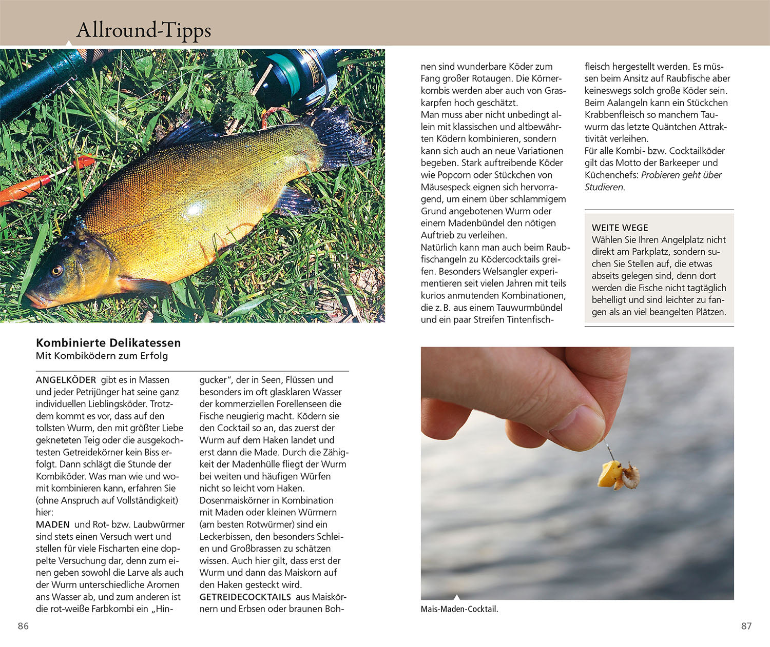 kosmos-tipps-tricks-f-r-angler-ratgeber-angeln image 6