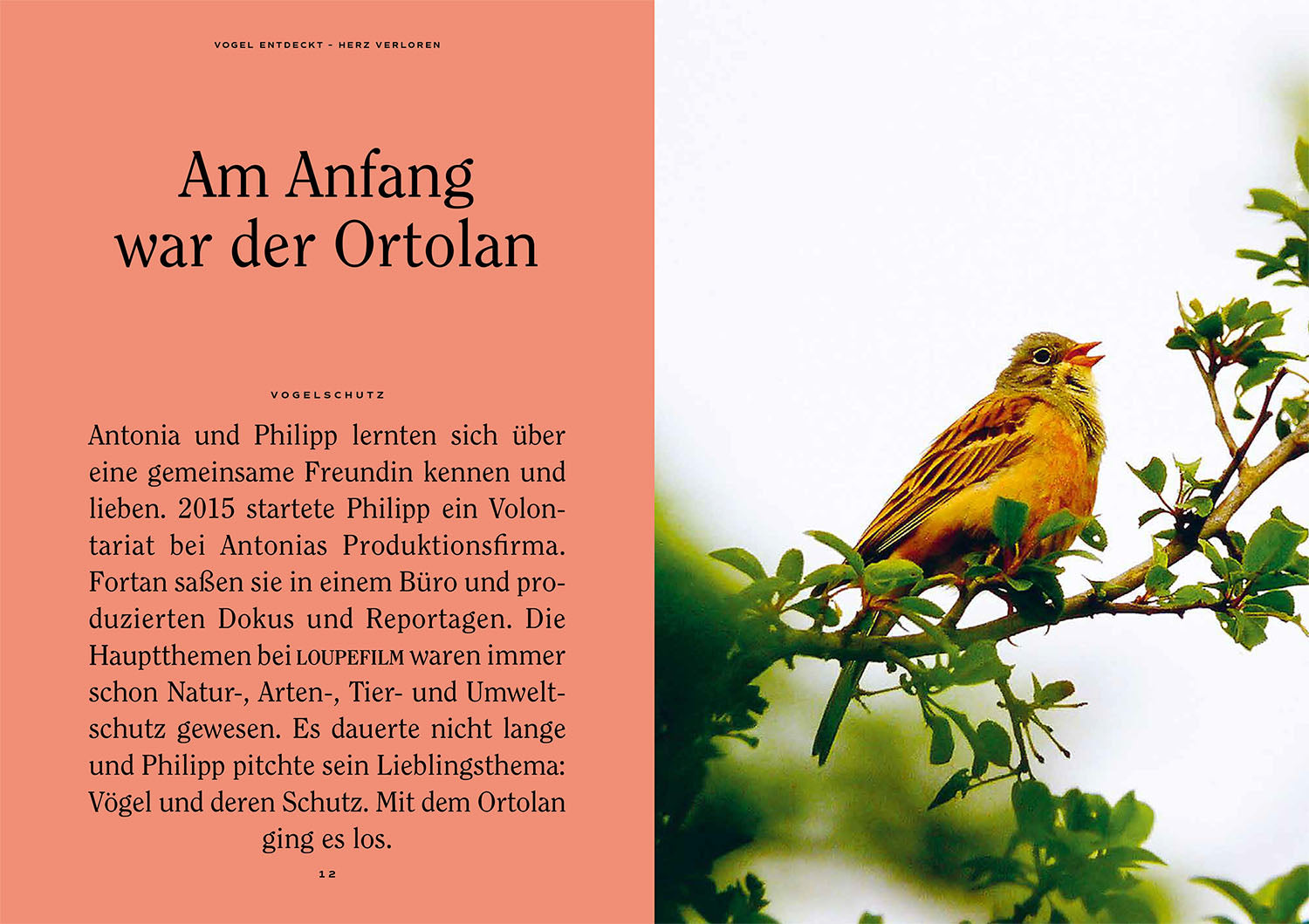 vogel-entdeckt-herz-verloren-vogelbuch-urban-birding image 3
