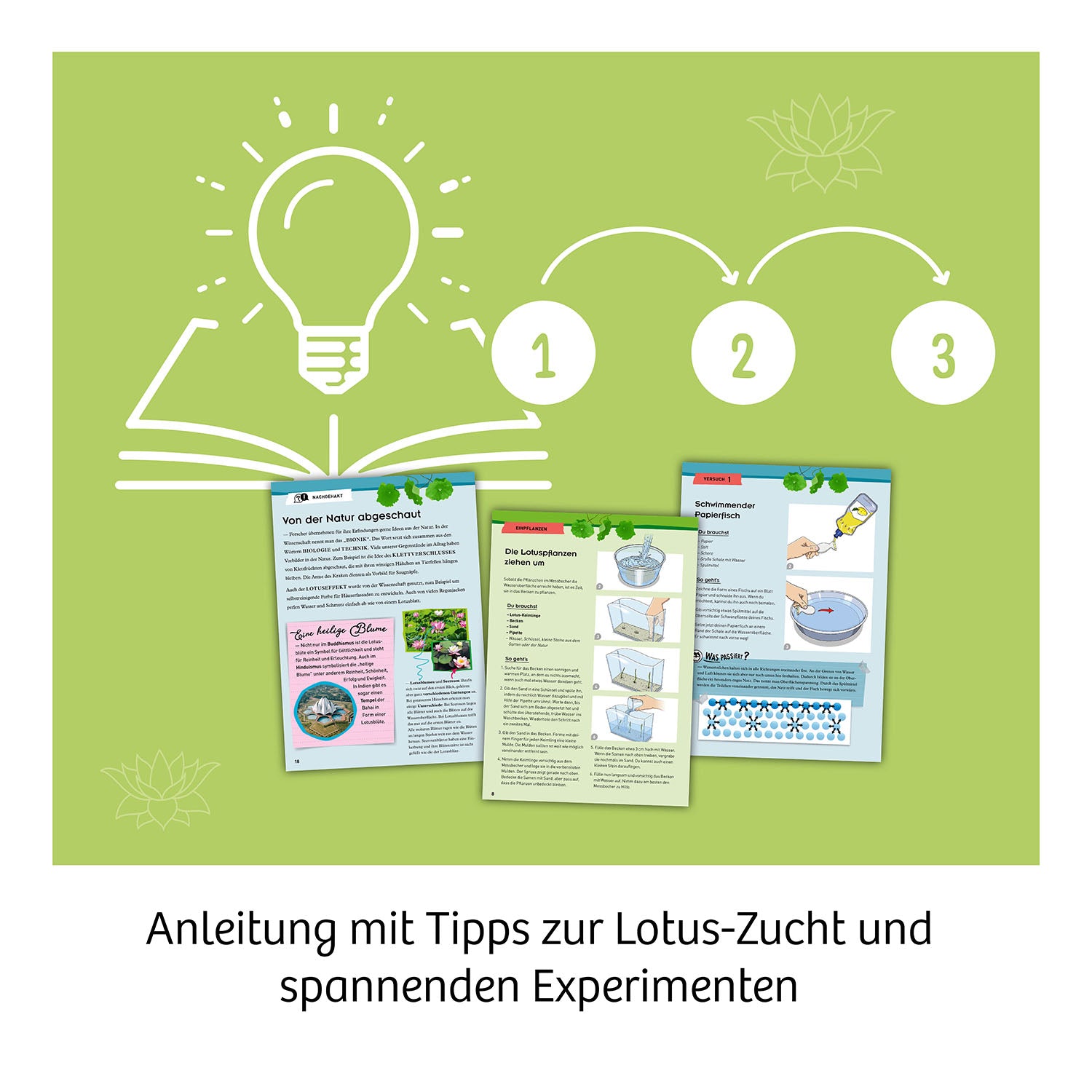 kosmos-lotus-blume-experimentierkasten-anzuchtset-ab-8 image 5