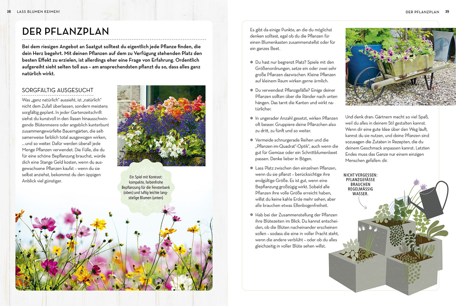 kosmos-samenwunder-gartenbuch-aussaat-blumen-gem-se-diy image 4