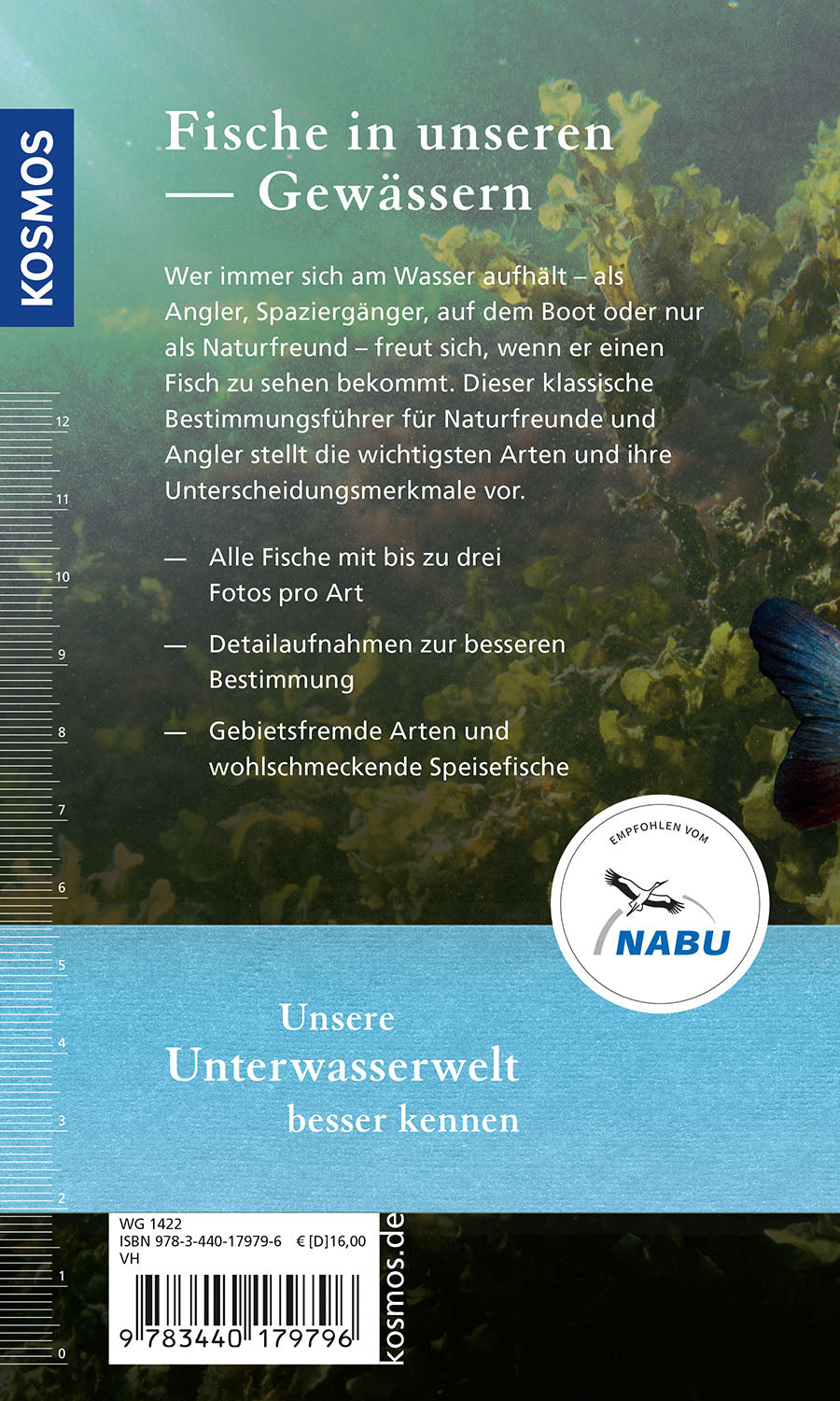 kosmos-welcher-fisch-ist-das-bestimmungsbuch-s-wasserfische image 2