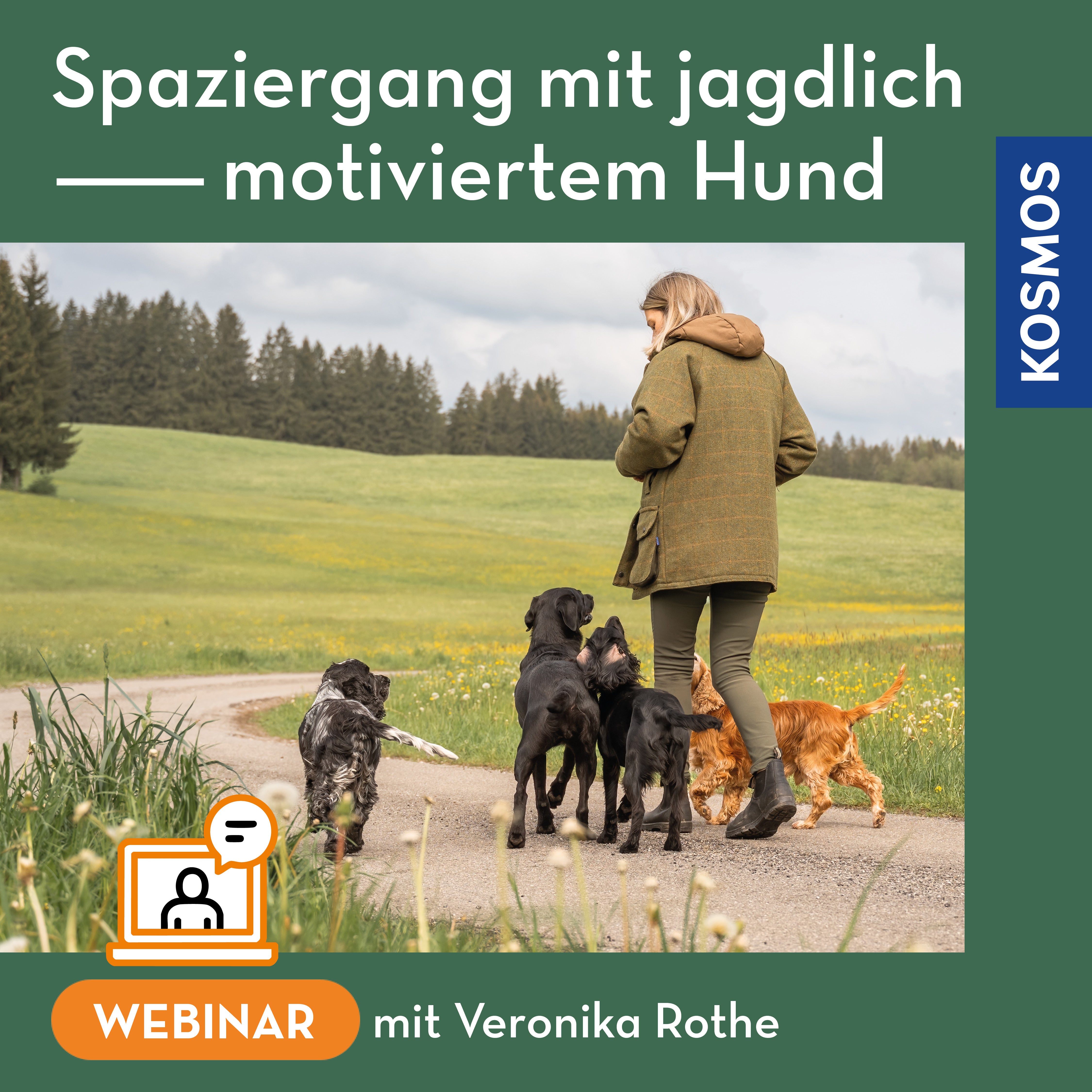 der-hund-webinar-spaziergang-mit-jagdlich-motiviertem-hund-live image 1