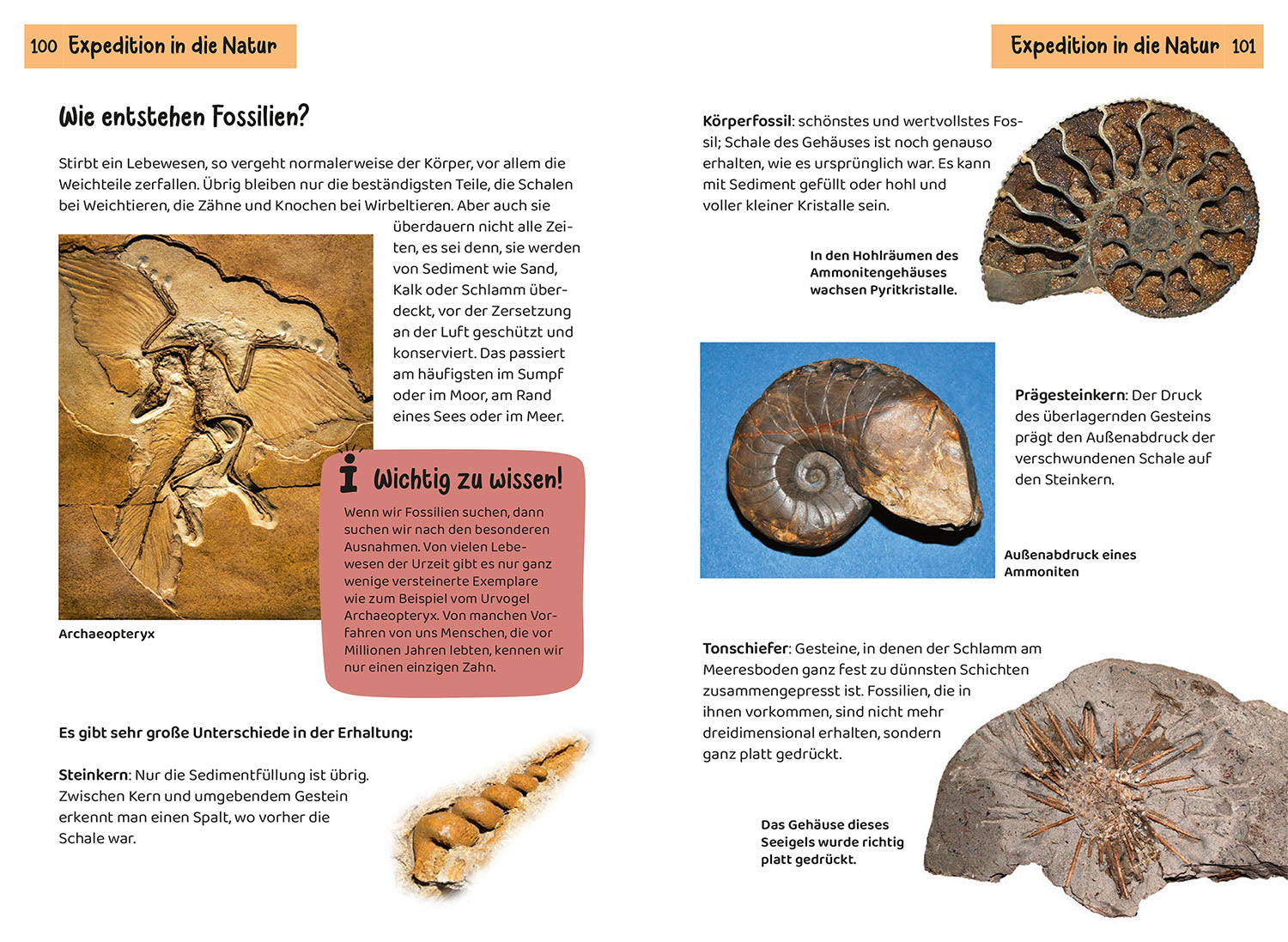 kosmos-welcher-stein-ist-das-kindernaturf-hrer-mineralien-2 image 6