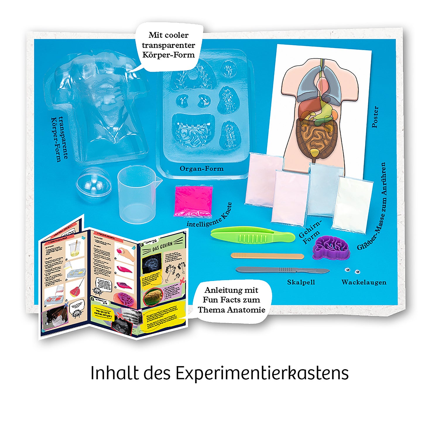 kosmos-fun-science-glibber-organe-experimentierkasten image 3