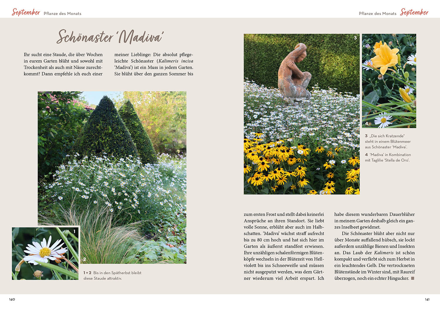 katrins-gartenjahr-2026-gartenbuch-gartenjahrbuch-katrin-iskam image 5