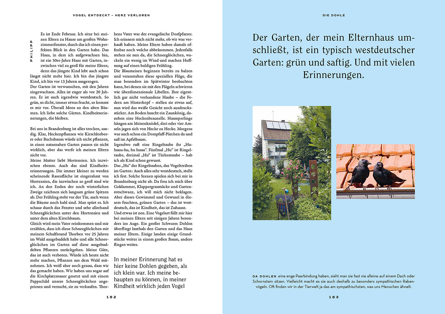 vogel-entdeckt-herz-verloren-vogelbuch-urban-birding image 6