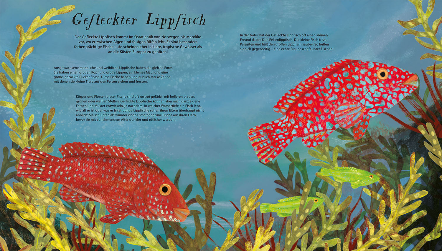 schwimm-mit-uns-mitmachbuch-3d-fische-20-arten image 3