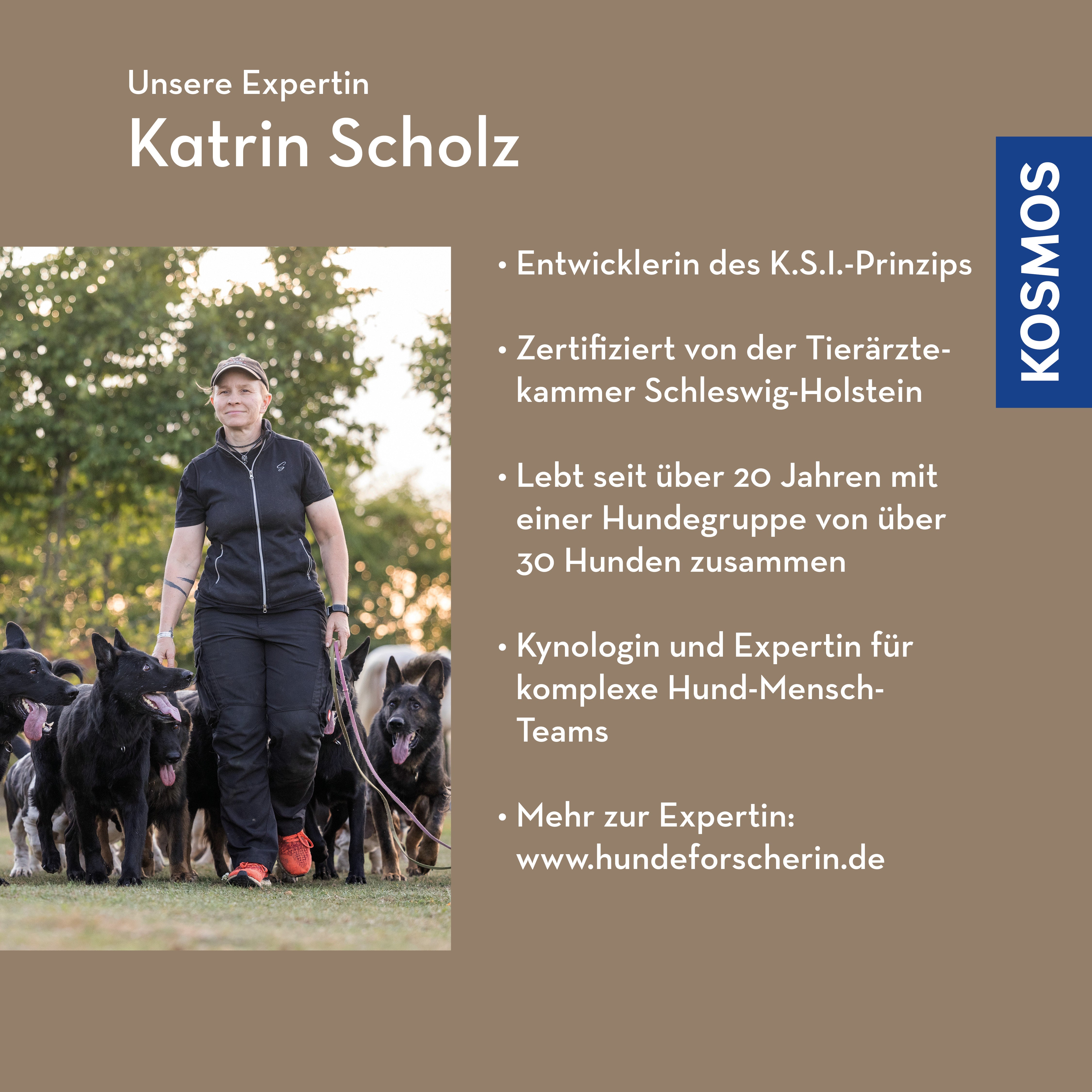 mensch-hund-gespr-che-webinar-live-mit-katrin-scholz-f-hrungsgesten image 2