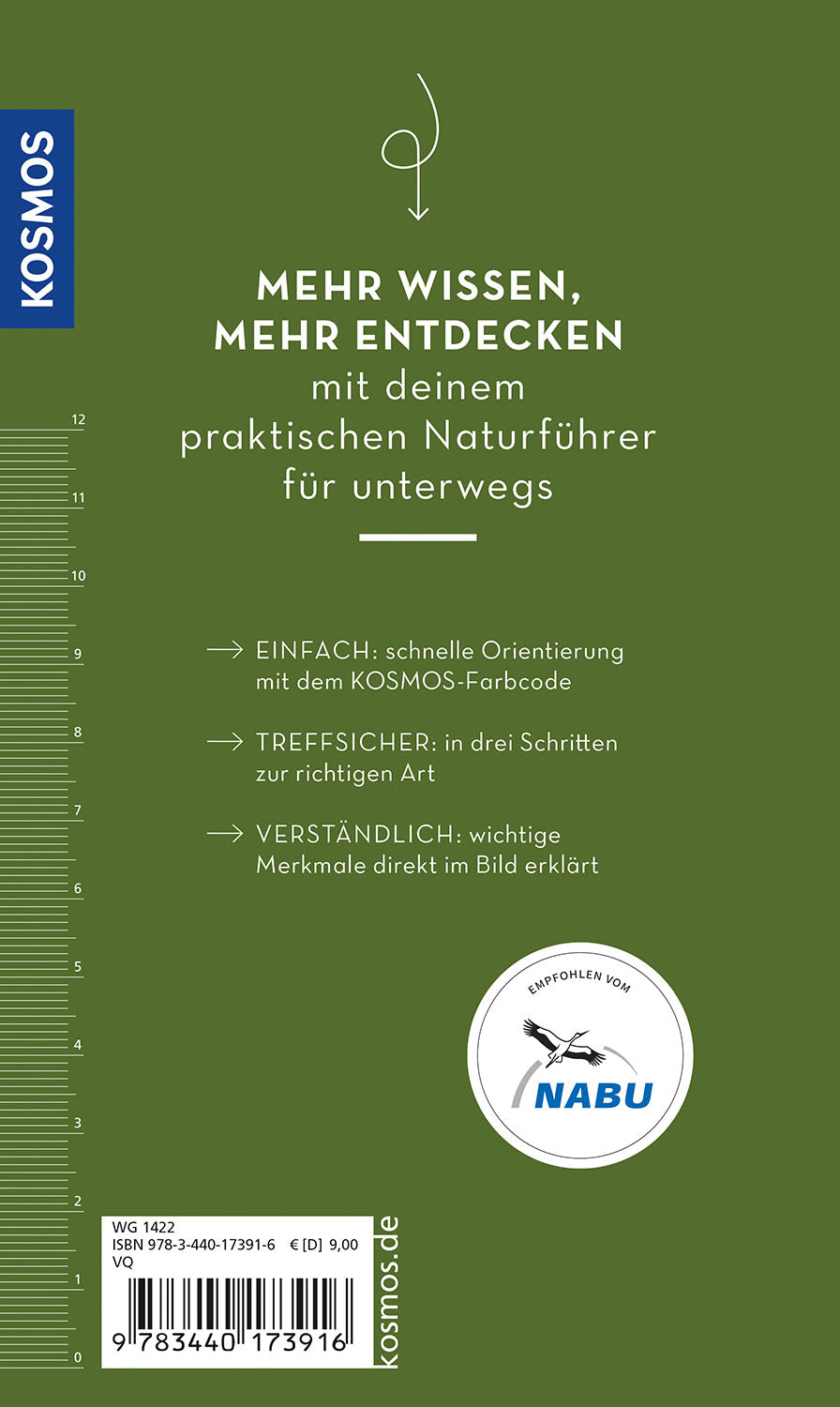 kosmos-basic-insekten-naturf-hrer-100-arten-bestimmen image 2