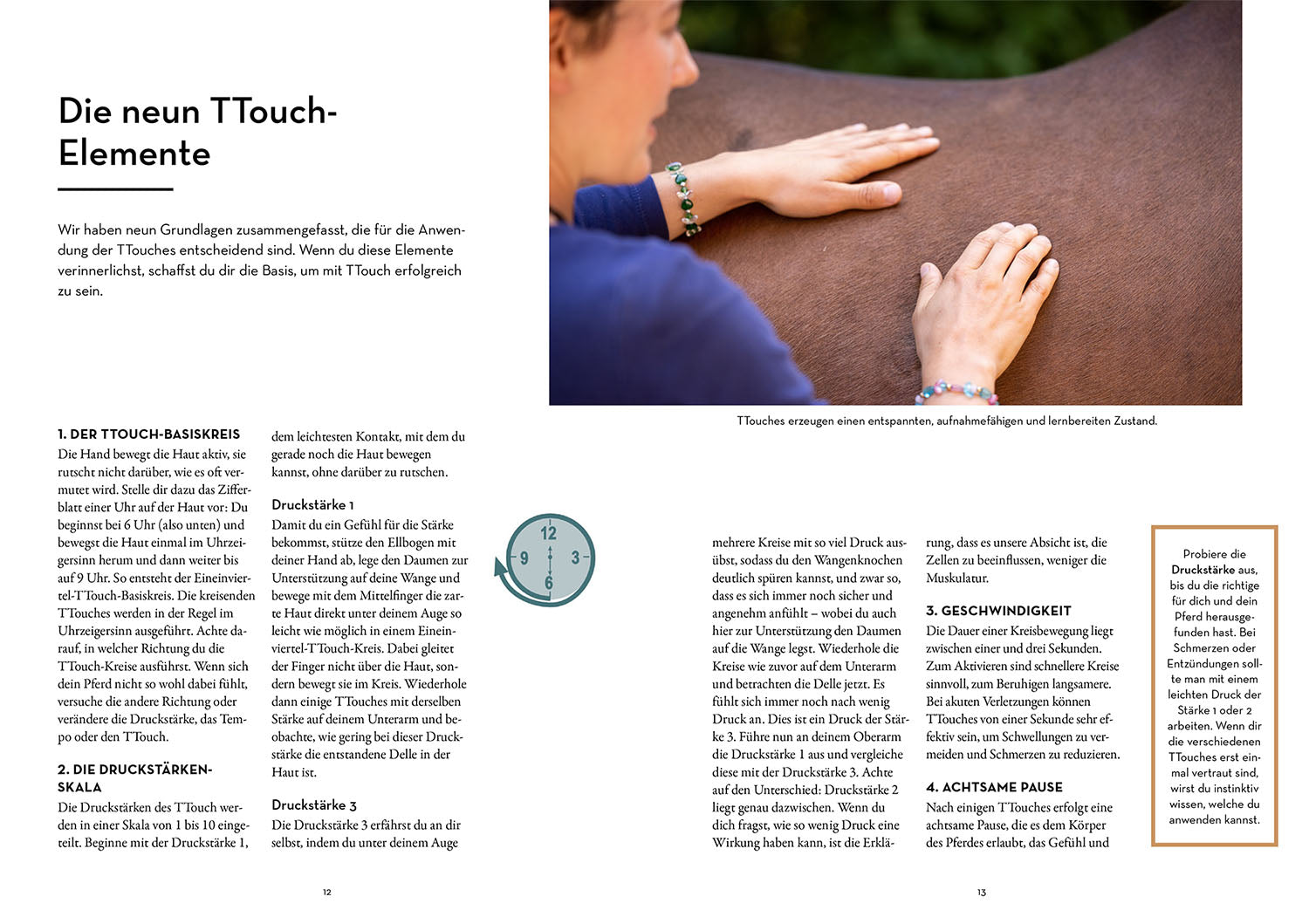kosmos-vertrauen-st-rken-mit-tellington-training-buch-pferd image 4