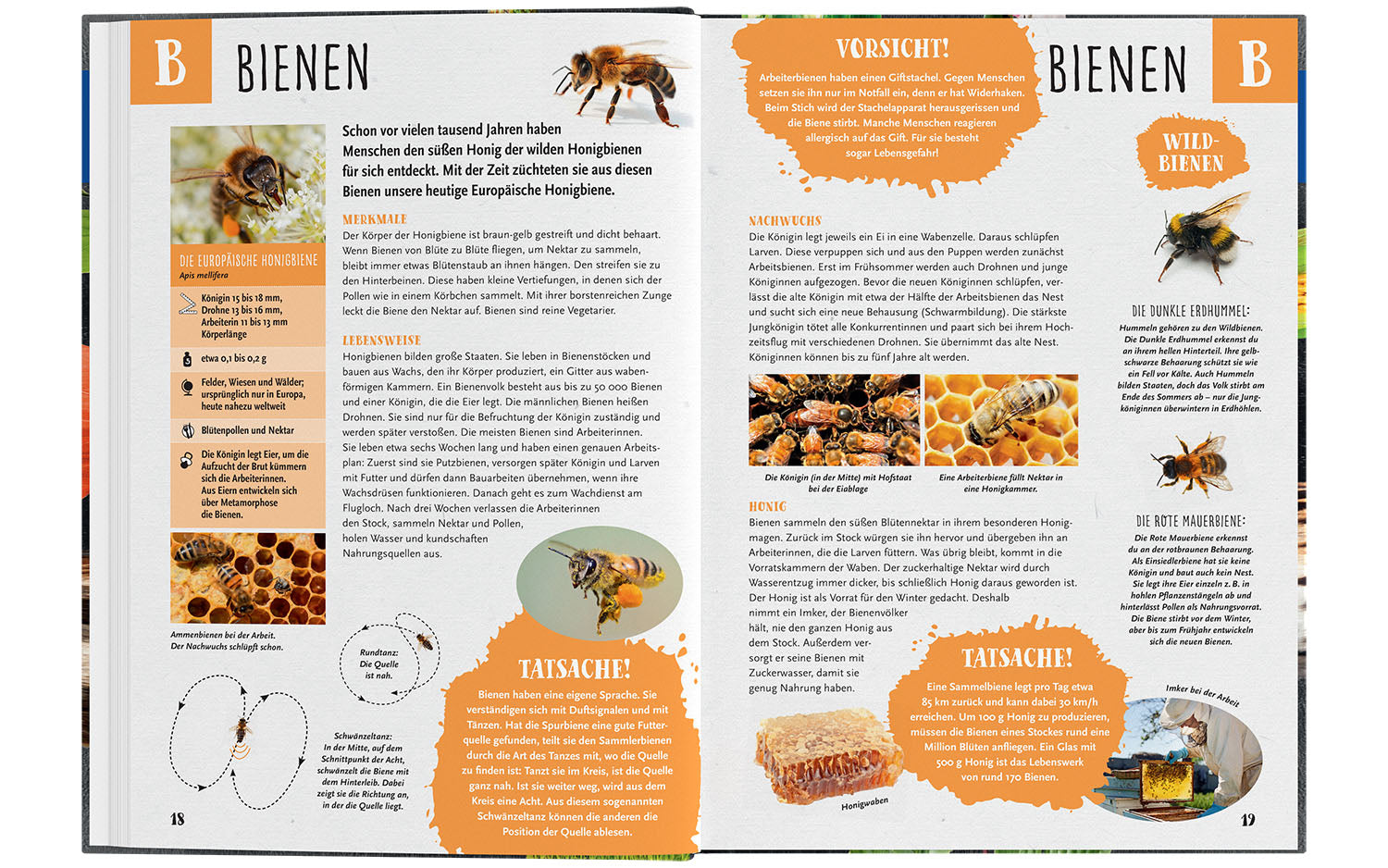 kosmos-grundschullexikon-tiere-pflanzen-kinderlexikon-a-z image 4