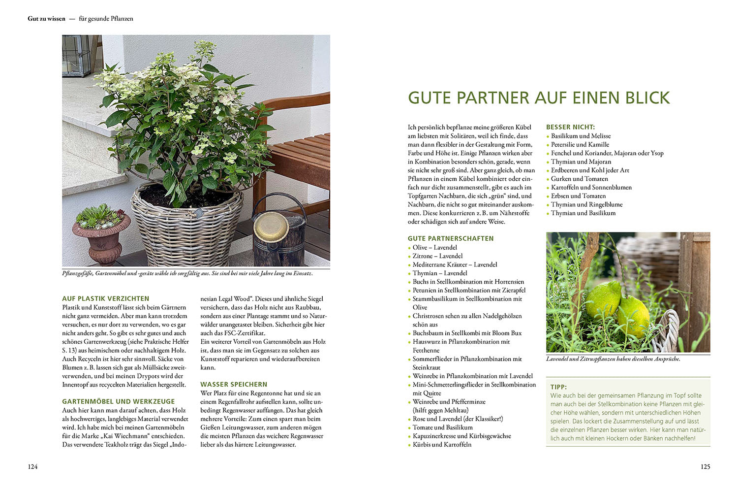 kosmos-mein-wunderbarer-topfgarten-buch-k-bel-einsteiger image 5