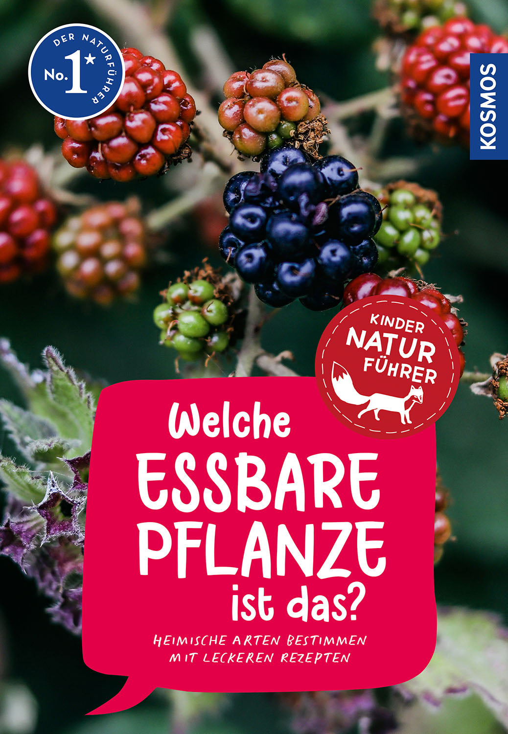 welche-essbare-pflanze-ist-das-kindernaturf-hrer-ebook-ab-8 image 1