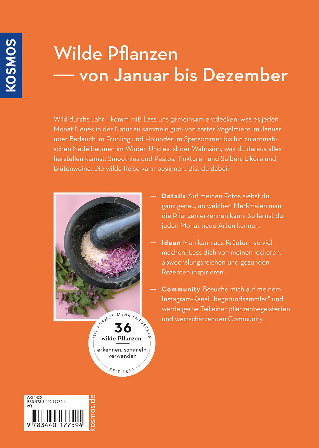 wild-durchs-jahr-isabel-fischer-wildkr-uter-buch-rezepte image 2