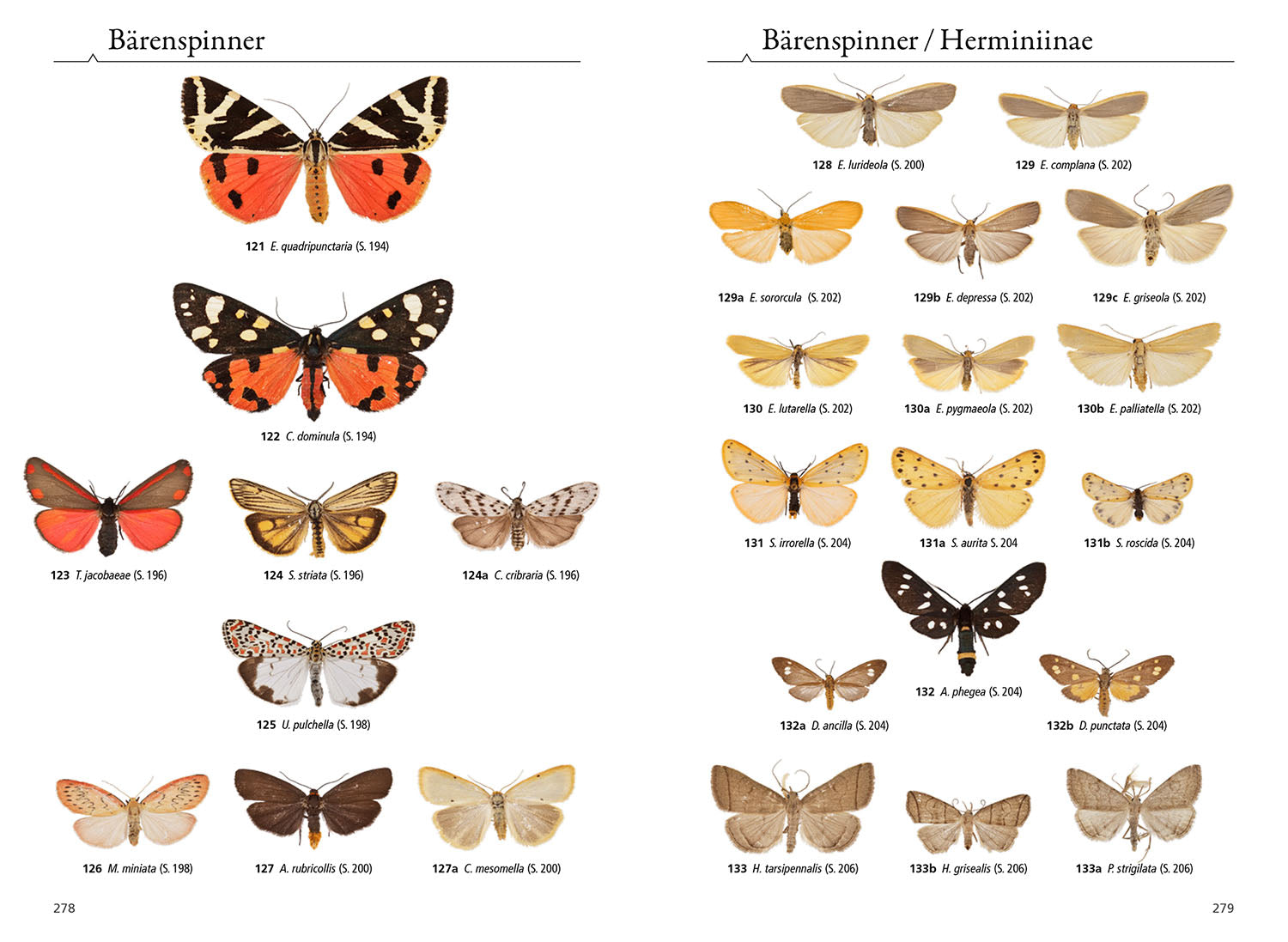 kosmos-tagaktive-nachtfalter-naturf-hrer-buch-330-arten-bestimmen image 6