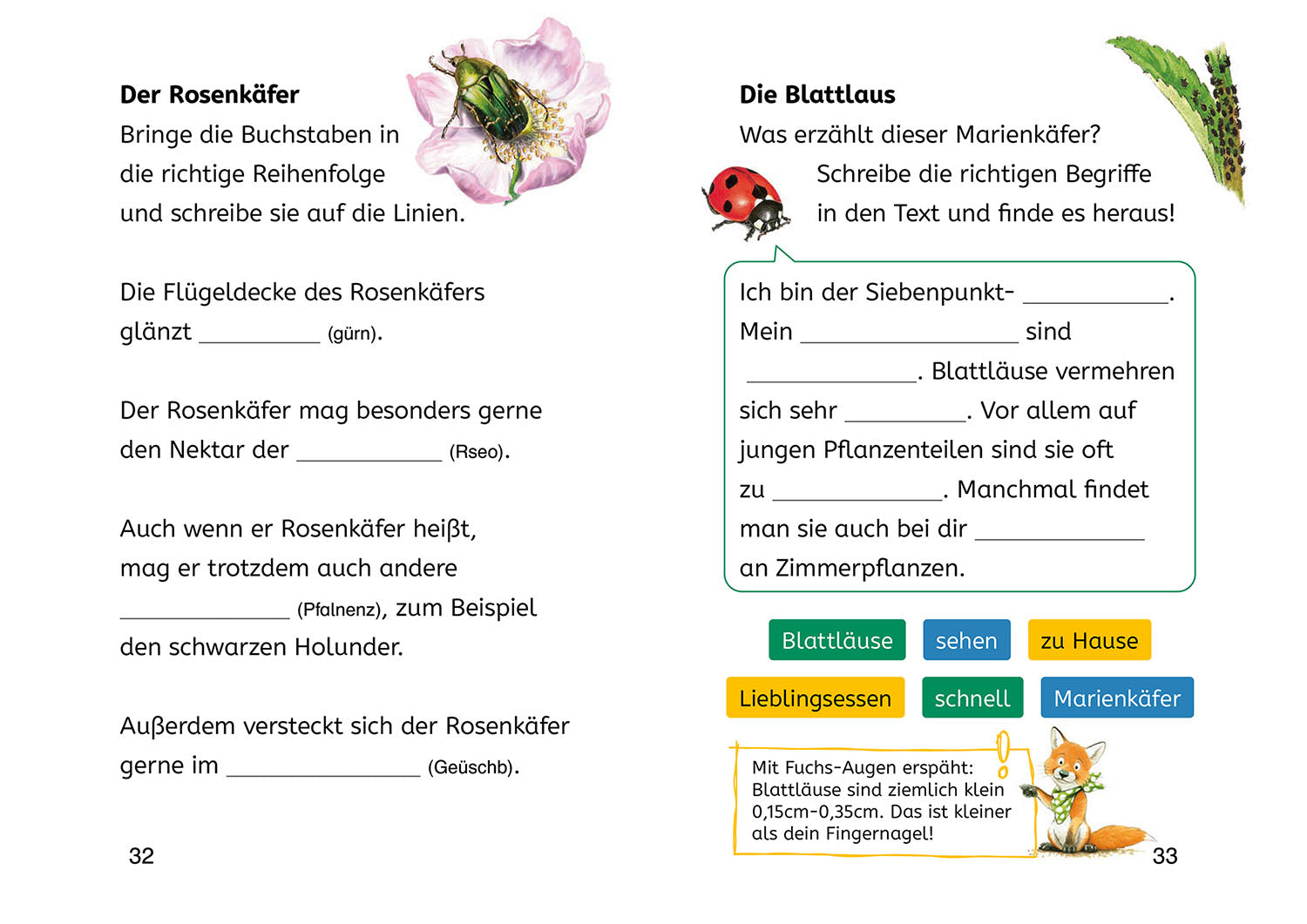 kosmos-b-cherhelden-lesen-lernen-naturr-tsel-insekten-2-klasse image 5
