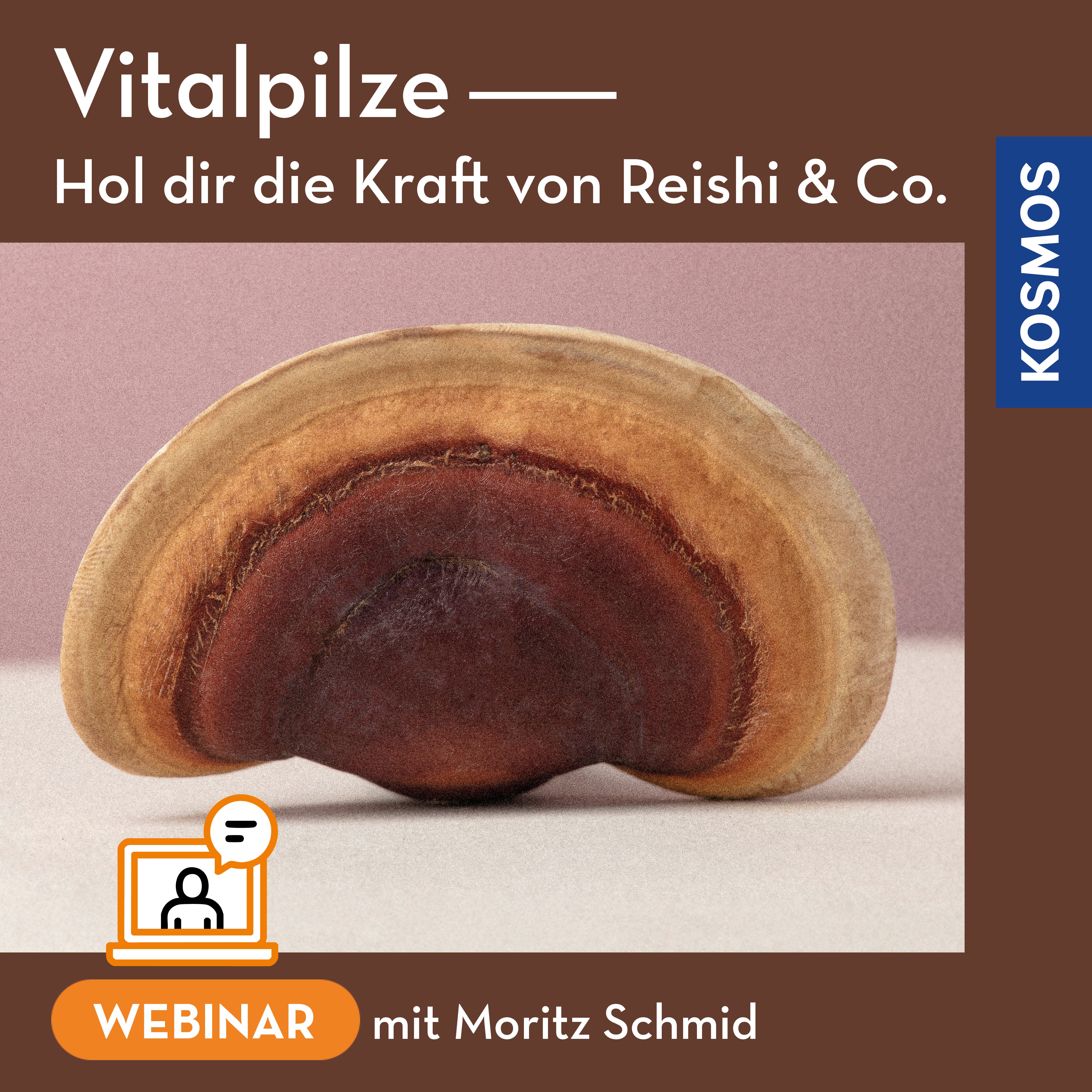 vitalpilze-reishi-co-webinar-live-mit-moritz-schmid image 1