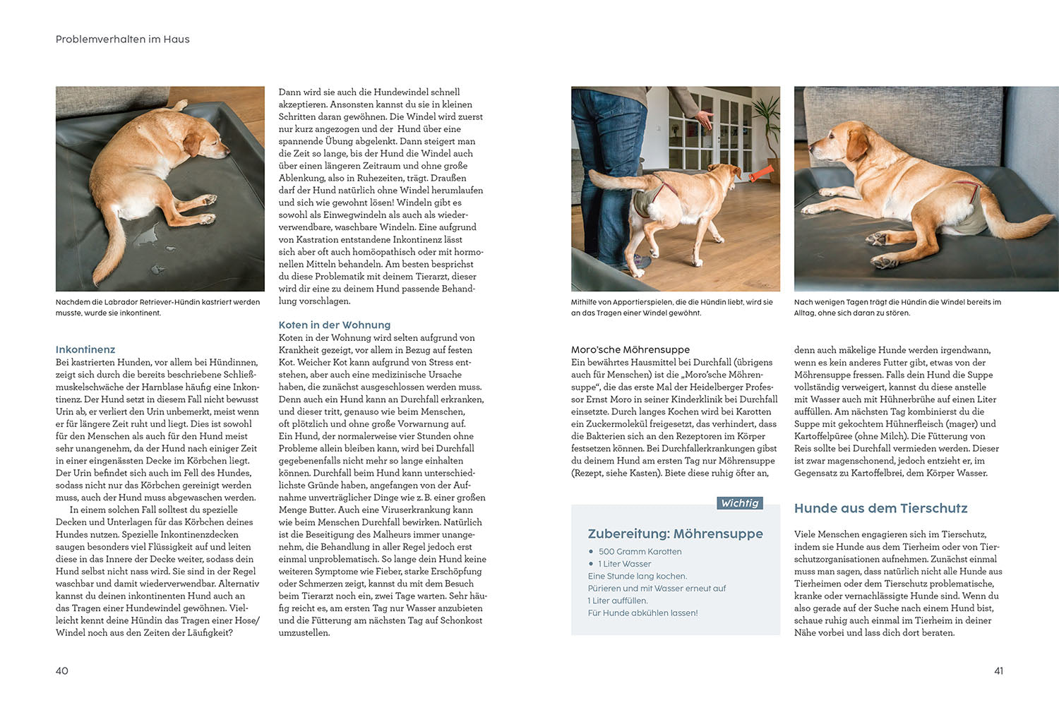 kosmos-problem-gel-st-mit-martin-r-tter-hunde-ratgeber image 4