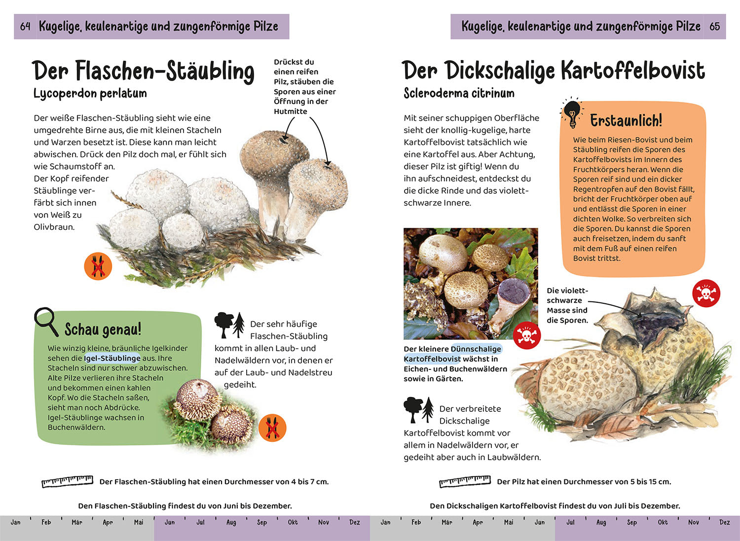 kosmos-welcher-pilz-ist-das-kindernaturf-hrer-pilze-bestimmen image 5