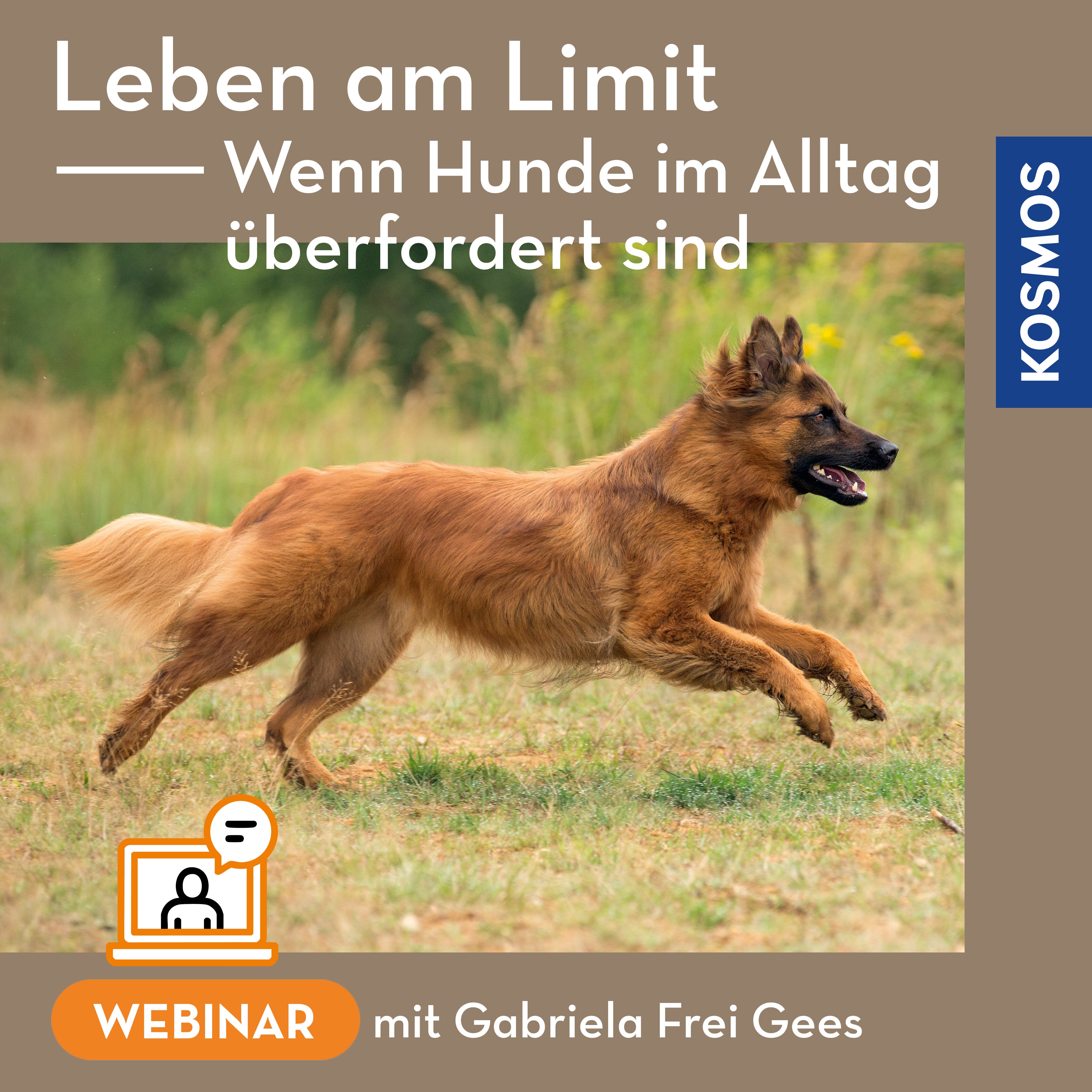 kosmos-leben-am-limit-webinar-hund-berfordert-live image 1