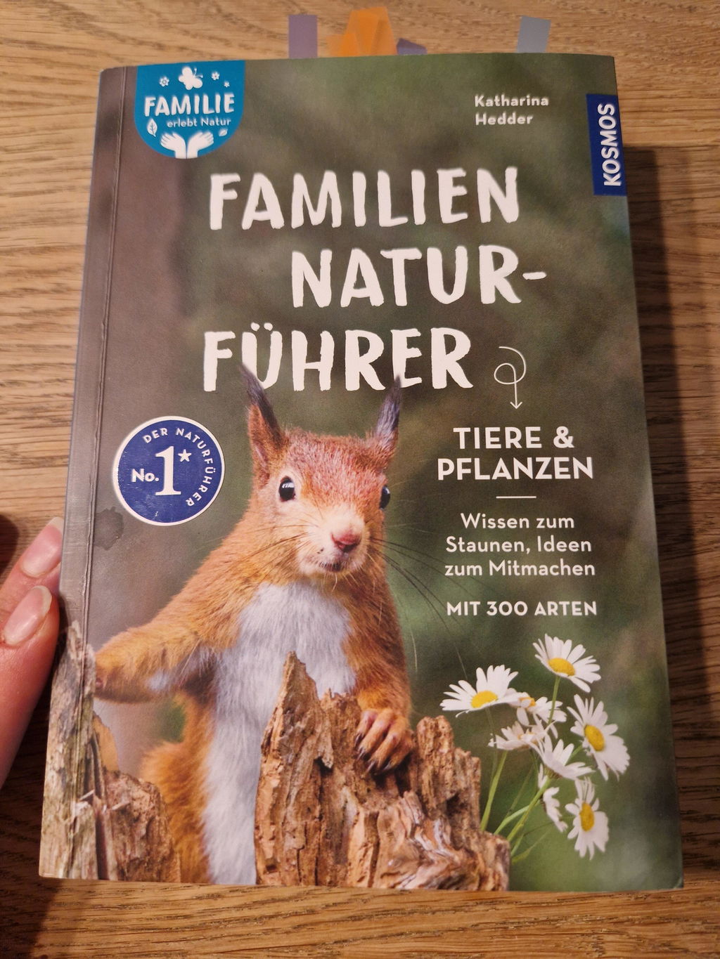 Schöne Bilder