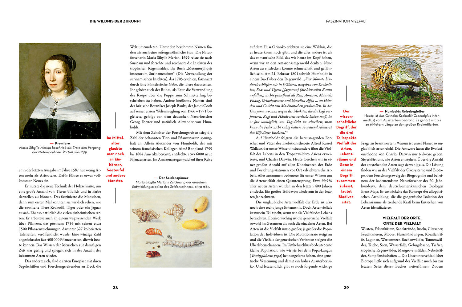 kosmos-die-wildnis-der-zukunft-sachbuch-anthropoz-n-klima image 4