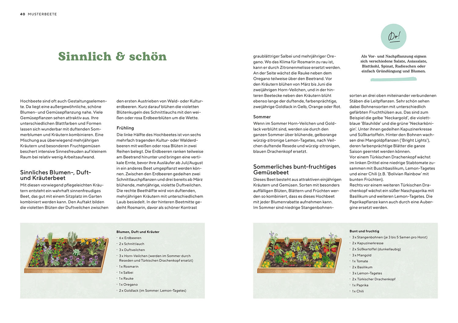 kosmos-hochbeete-melanie-grabner-buch-musterbeete-ernte image 5