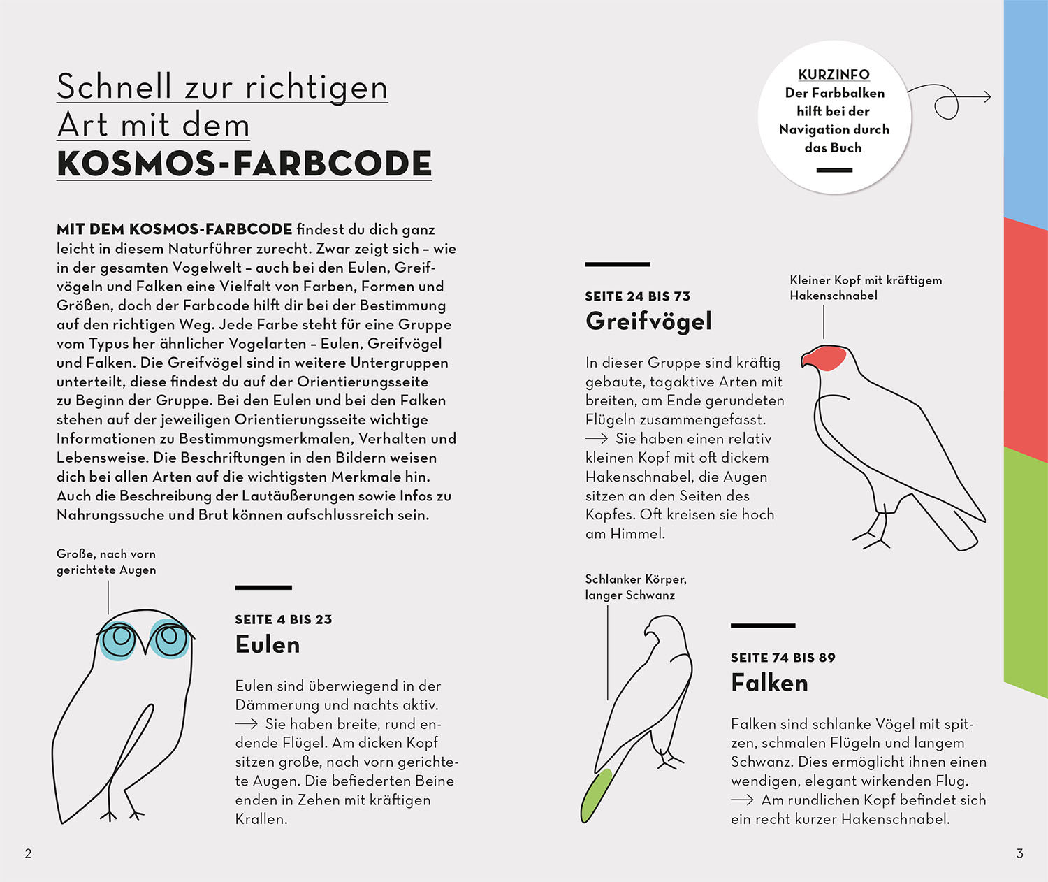 kosmos-basic-greifv-gel-und-eulen-naturf-hrer image 3
