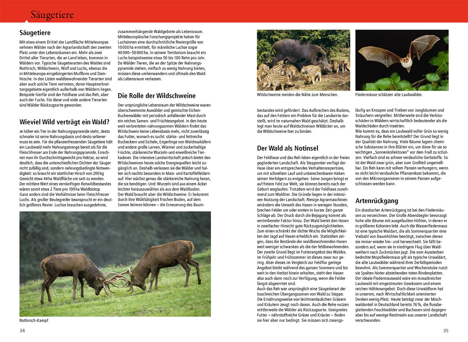 kosmos-waldf-hrer-bestimmungsbuch-pflanzen-tiere-pilze image 4