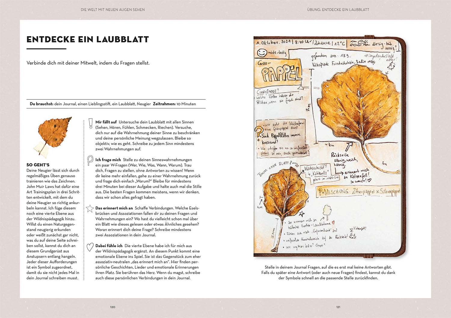 kosmos-nature-journaling-ratgeber-naturtagebuch-entdecken image 6