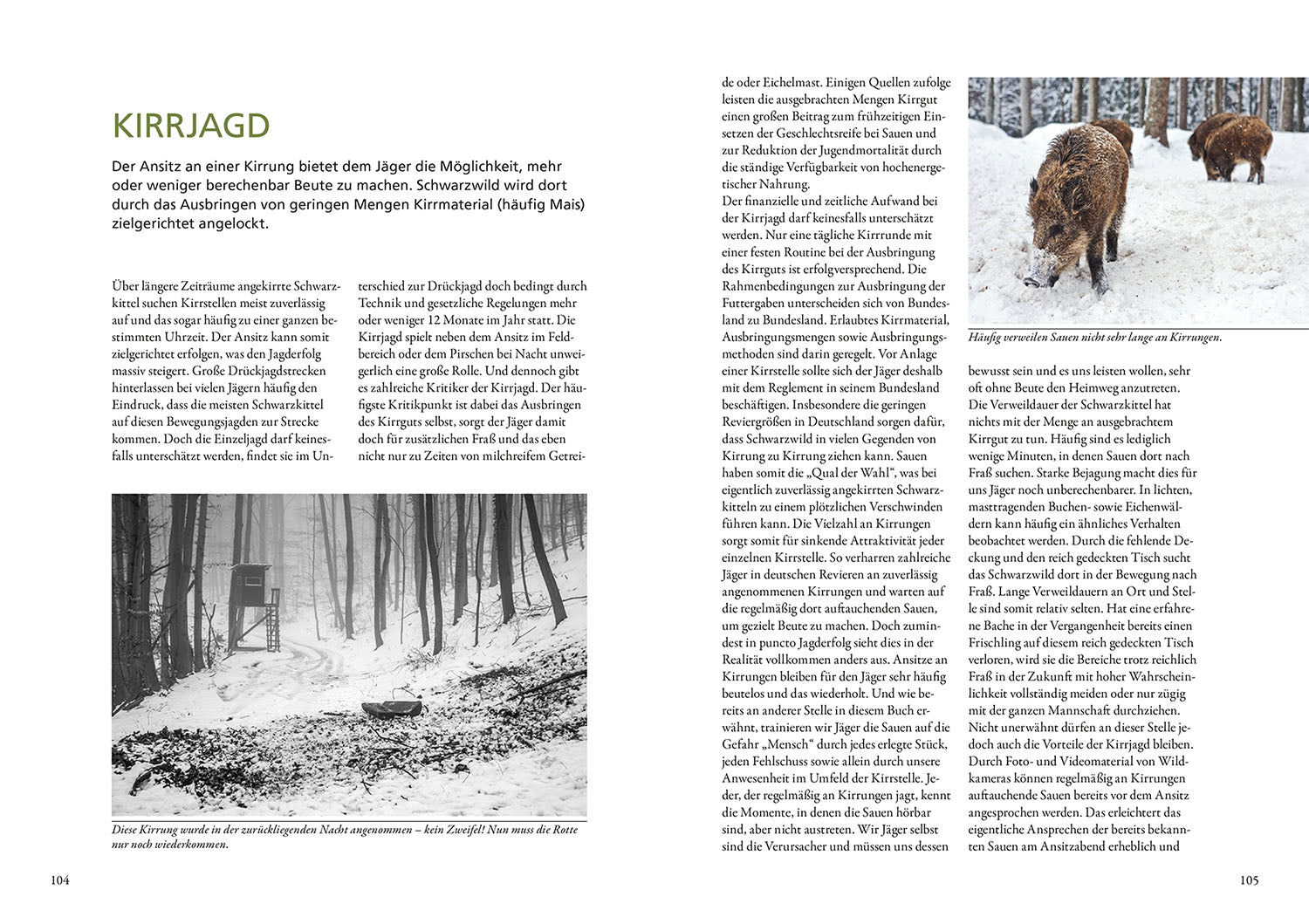 kosmos-nachtjagd-auf-sauen-jagdbuch-schwarzwild image 6