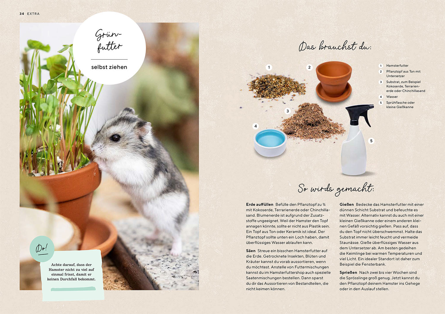 kosmos-hamster-ratgeber-haltung-gehege-ersttierhalter image 4