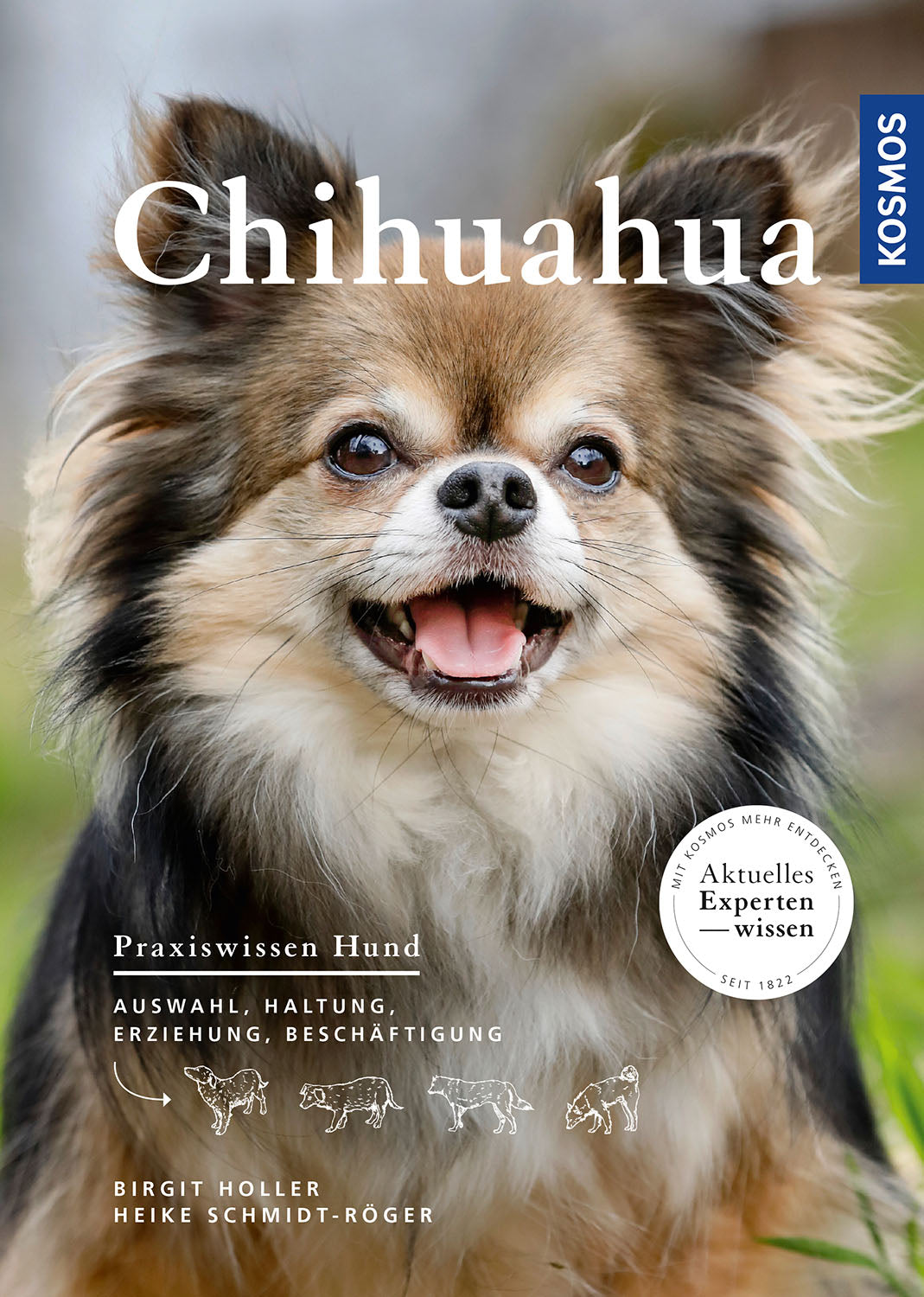 kosmos-chihuahua-kleinhund-rasseportr-t-ebook-haltung image 1