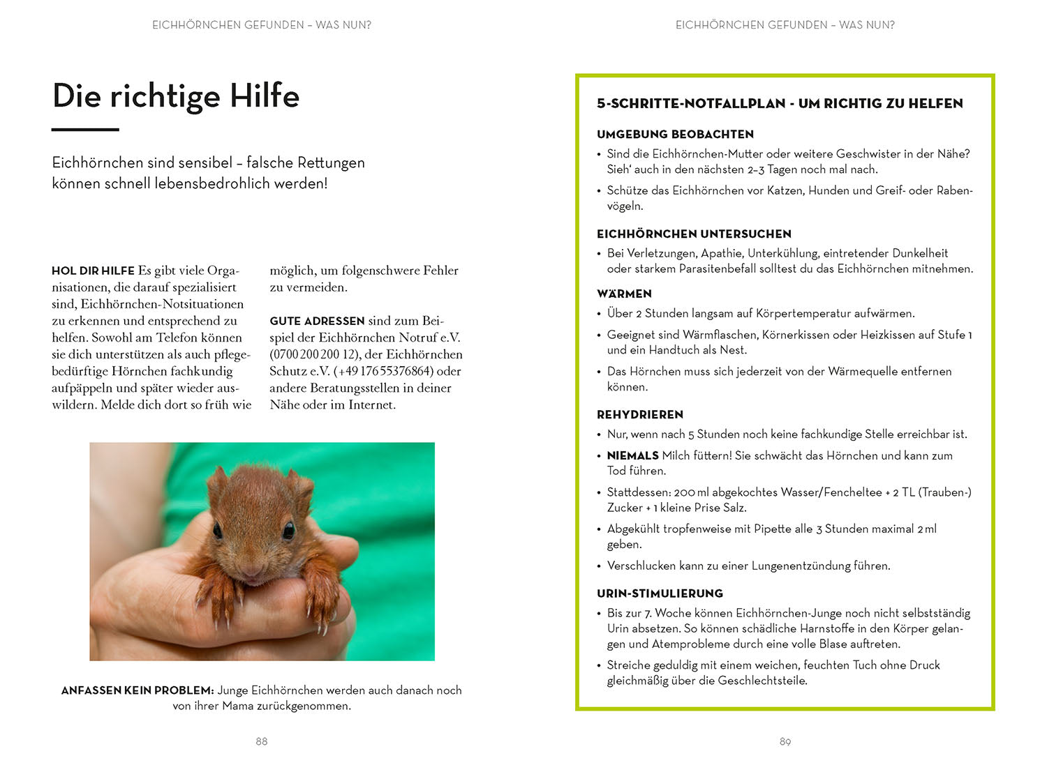 kosmos-mach-was-f-r-eichh-rnchen-naturbuch-garten-nothilfe-jungtiere image 6
