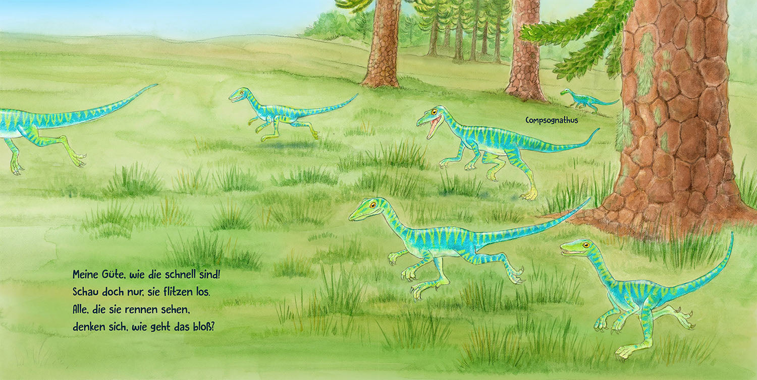 guck-mal-die-dinosaurier-pappbilderbuch-lochbuch image 8
