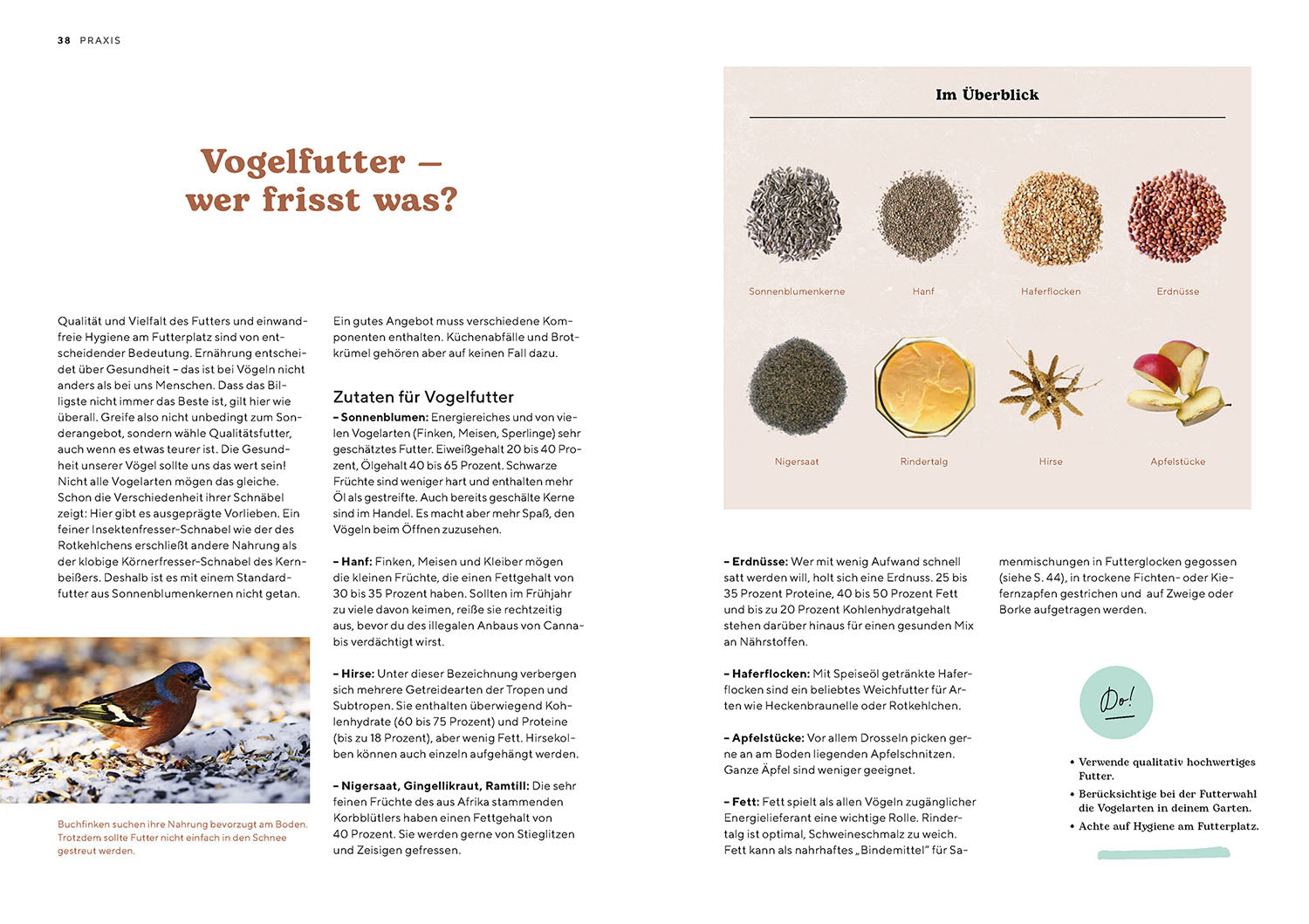 kosmos-vogelparadies-garten-ratgeber-buch-gartenv-gel image 4