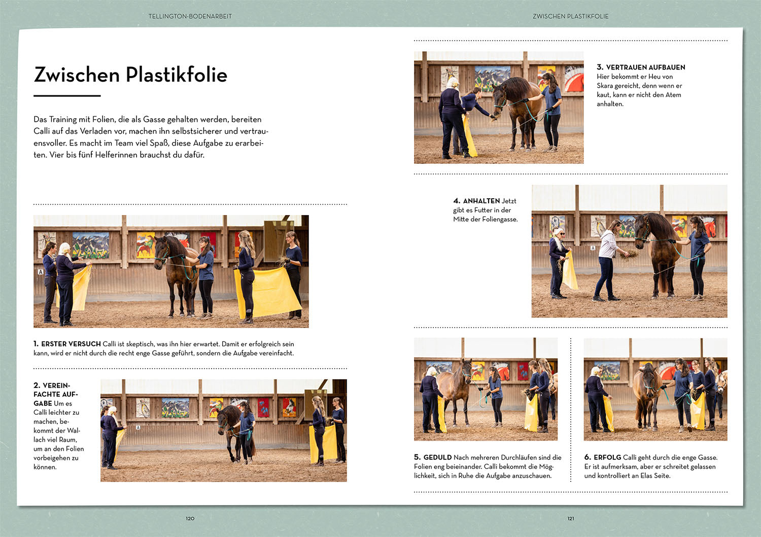 kosmos-vertrauen-st-rken-mit-tellington-training-buch-pferd image 6