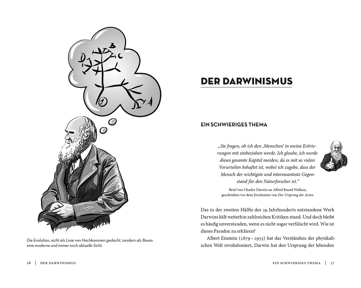 adventure-games-b-cher-einfach-darwin-sachbuch-evolution image 3