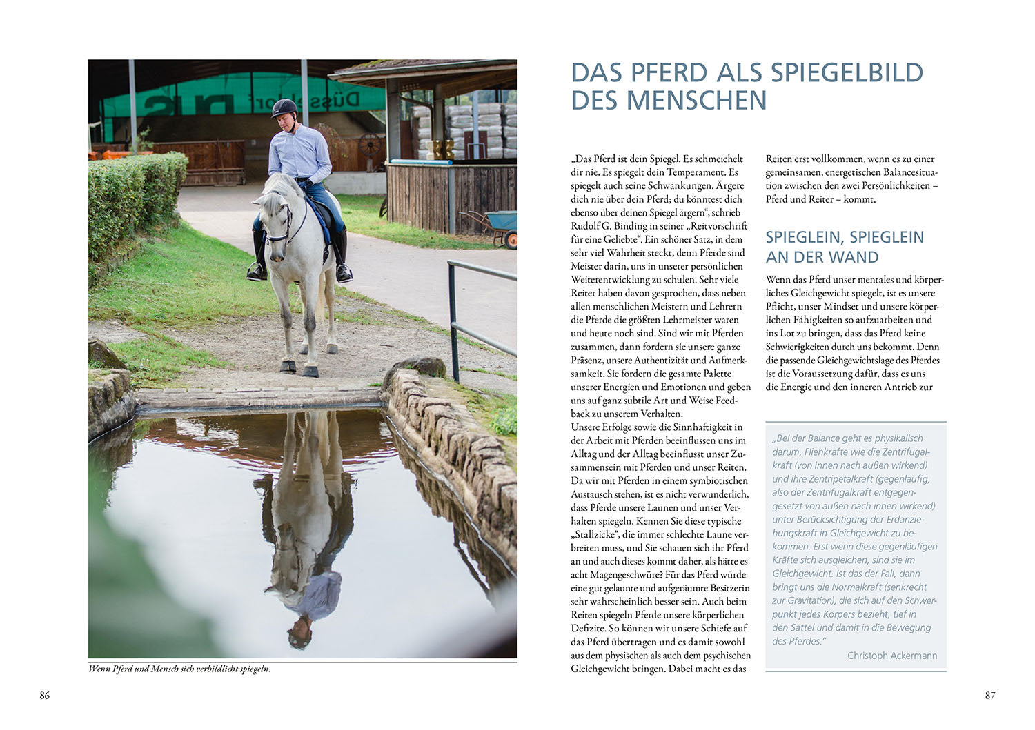 kosmos-das-spiel-mit-der-energie-buch-pferd-energieniveaus image 5