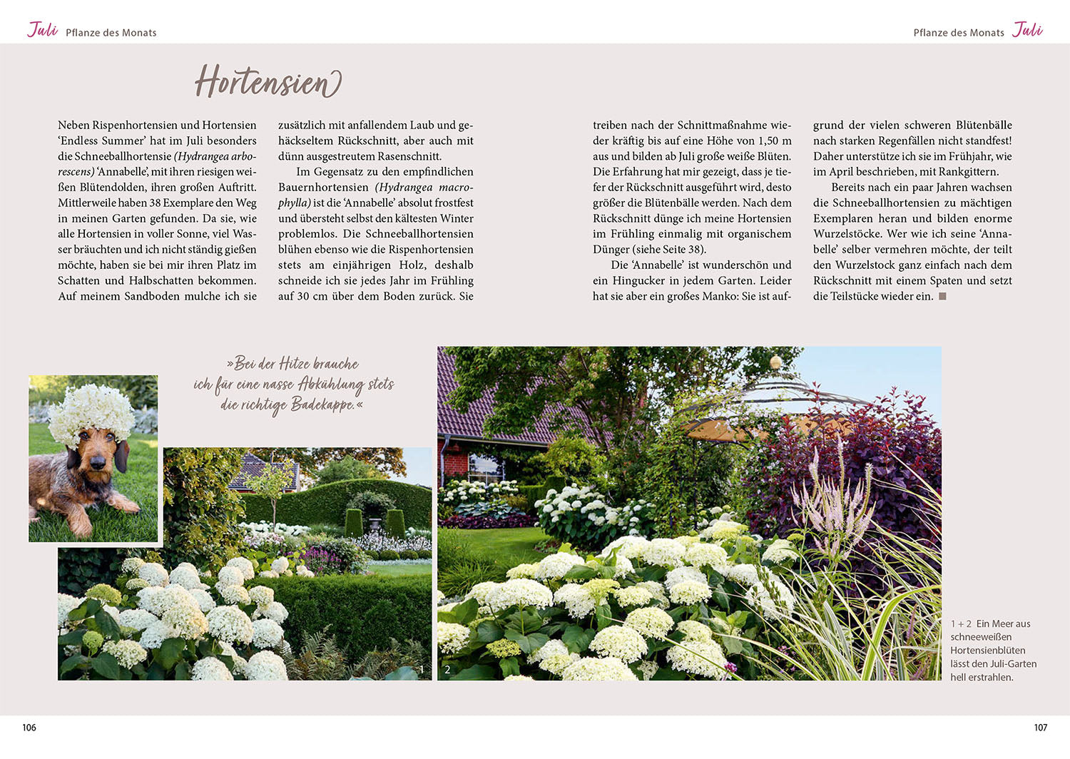 kosmos-katrins-garten-mit-herz-gabel-gartenbuch-2025-gartenkalender image 5
