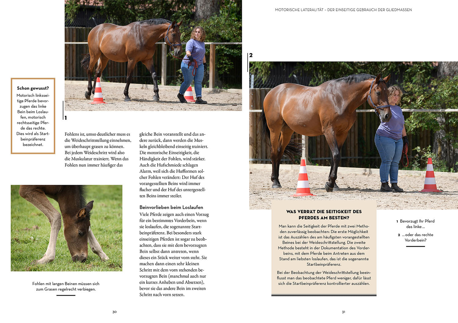 kosmos-lateralit-t-bei-pferden-buch-praxishandbuch-training image 4
